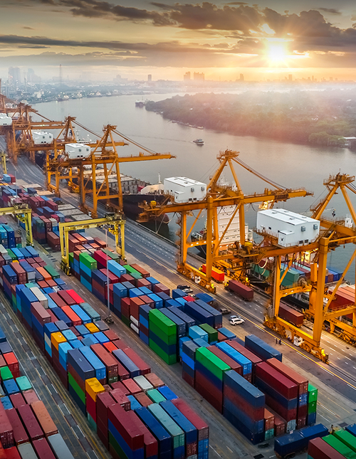 Import & Export